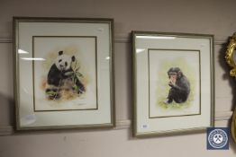 After Mandy Shepherd : Chimp, limited edition colour print, signed, 27 cm x 32 cm,