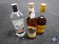 Three bottles of alcohol to include Nordhauser Gold Brand,