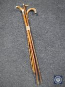 A bundle of four walking sticks with silver mounts