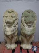 A pair of stone garden figures - lions