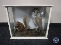 A 20th century display case containing a taxidermy barn owl and squirrel
