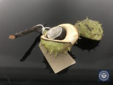A painted ceramic conker in husk CONDITION REPORT: One piece of the husk has a fine