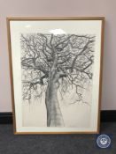 Donald James White : Squirrel, charcoal, 56 cm x 75 cm, framed.