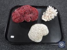 Three pieces of coral