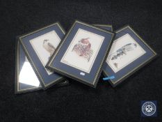 Five framed colour prints of hunting birds