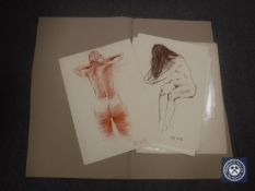 Donald James White : Kate, colour chalks, signed with initials, dated Dec '83, 60 cm x 42 cm,