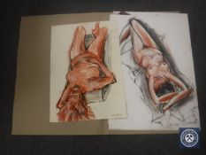 Donald James White : Reclining Nude Study, colour chalks, signed with initials, dated 31/05/07,