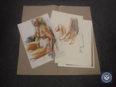 Donald James White : Helen, colour chalks, signed with initials, dated 30/8/87, 60 cm x 42 cm,