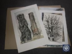 Donald James White : Callanish, pen and ink with watercolour, signed with initials, dated April '90,