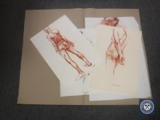 Donald James White : Male Nude Study, colour chalks, signed, dated '00, 59 cm x 41 cm,