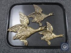 Three graduated brass flying ducks