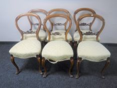 A set of six Victorian mahogany balloon back dining chairs