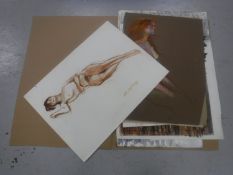 Donald James White : A folio containing fifteen drawings, various subjects, all parts unframed.