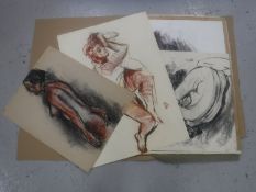 Donald James White : A folio containing fifteen drawings, various subjects, all parts unframed.