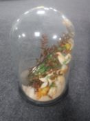 An antique glass dome on wooden stand