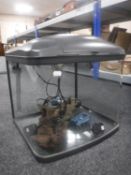 A fish tank with accessories