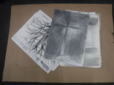 Donald James White : A folio containing twenty drawings, various subjects, all parts unframed.