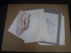 Donald James White : A folio containing twenty drawings, various subjects, all parts unframed.