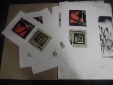 Donald James White : A folio containing twenty screenprints, various subjects, all parts unframed.