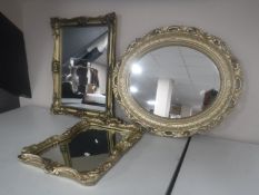 Three ornate gilt framed mirrors