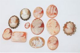 A collection of loose and mounted cameos