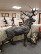 An impressive bronze life size figure of a fourteen point stag,