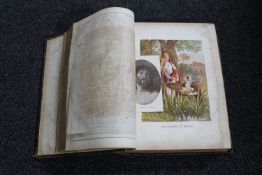 A 19th century leather bound family Bible