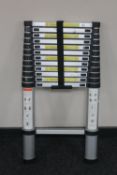 A metal telescopic ladder
