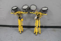 Two twin 110V site lights