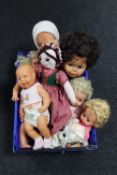A crate containing mid 20th century and later plastic dolls together with two cloth dolls