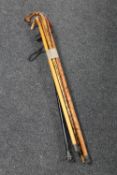 A bundle of five walking sticks