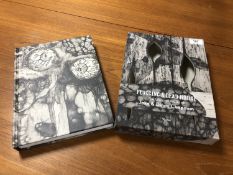 Flogging a Dead Horse, The Life and Works of Jake & Dinos Chapman,