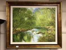 ** Withdrawn ** Terry Evans (Born 1943) : Woodland stream, oil on canvas, 74cm by 59cm,