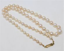 A continental cultured pearl necklace on 14ct gold clasp, length 52cm.
