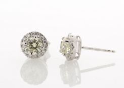 18ct White Gold Single Stone With Halo Setting Earring (1.01) 1.29