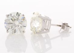 18ct White Gold Prong Set Diamond EarringS 11.00 Carats