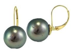 Tahitian Black Pearl Gold Earrings