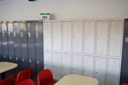 Seven SILVELINE Light Grey Steel 2-Compartment Personnel Lockers and Twelve Dark Grey Steel 2-