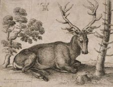 Václav Hollar (1607-1677) Albrecht Dürer (1471-1528)