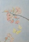 * Edwin Julius Detmold [1883-1957]- Cherry Blossom and Brimstone Butterflies,