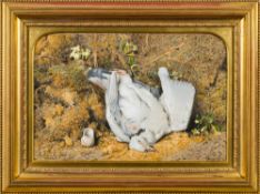 William Henry Hunt [1790-1864]- Still life; pigeon and snail shell on a mossy bank,