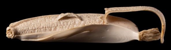 A Japanese carved ivory okimono of a banana: the naturalistically carved fruit partly peeled,