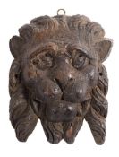 A late 15th/early 16th Century carved walnut lion mask wall applique,: 21cm high.
