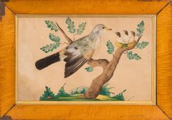 A mid 19th Century naive featherwork and watercolour picture: of a bird perched in a tree feeding