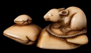 A Japanese carved ivory netsuke: in the form of a rat seated amongst shells, Meiji period, 5 cm.