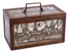 An unusual 19th Century agate mounted rectangular tea caddy: the Dendritic agate panels within a