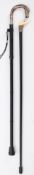 An Edwardian carved ivory dog's head walking cane:,