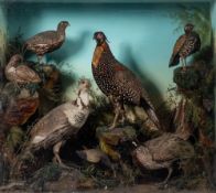 A late 19th century cased taxidermy group of game birds by Ward & Co, London:, naturally set,