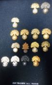 Grenadier Guards: a collection of tunic buttons, all ranks includes Victorian, Edward VII ,