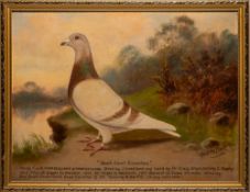 * Andrew Beer [1862-1954]- 